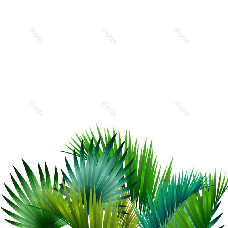 叶子图片,夏天元素,绿叶PNG,植物插画免抠素材